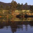 FVCW (16)-Trimpel-Helmut